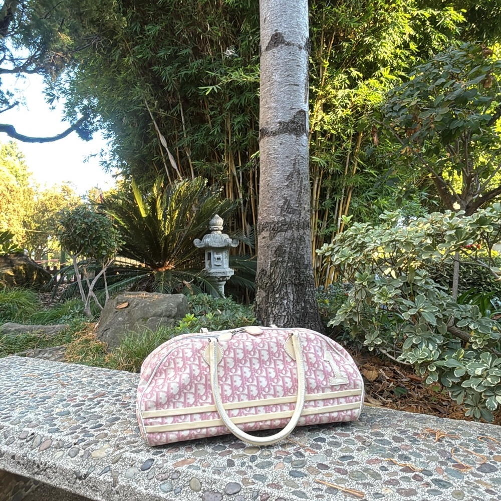 Christian Dior Trotter Bag
